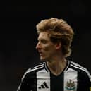 Anthony Gordon of Newcastle United in action during the Premier League match between Newcastle United FC and Nottingham Forest FC at St James' Park on February 23, 2025 in Newcastle upon Tyne, England. (Photo by Richard Heathcote/Getty Images)