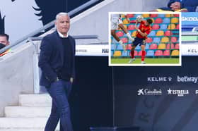Malaga manager Sergio Pellicer