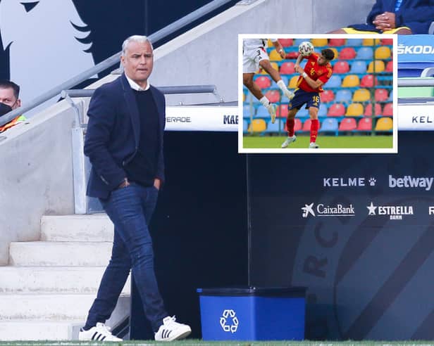 Malaga manager Sergio Pellicer