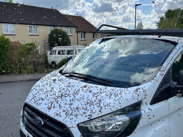 Pictures shows the swarm of bees on a van in Heeley, Sheffield. Photo: Errol Edwards