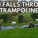 Photos of a man falling through a trampoline