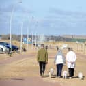 Dogs are set to be banned from Sandhaven Beach from Thursday, May 1.