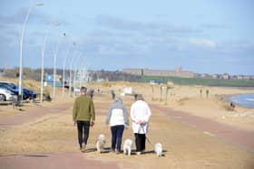 Dogs are set to be banned from Sandhaven Beach from Thursday, May 1.
