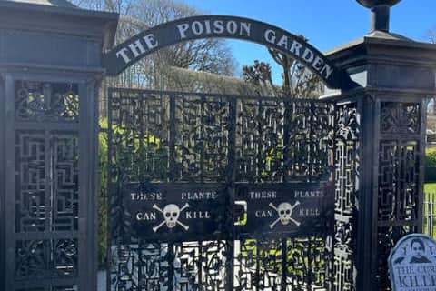 Poison Gardens, Alnwick