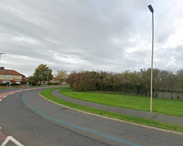 Plans submitted for 20-metre-high telecoms tower on grass verge at Calf Close Lane in Jarrow
