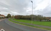 Plans submitted for 20-metre-high telecoms tower on grass verge at Calf Close Lane in Jarrow