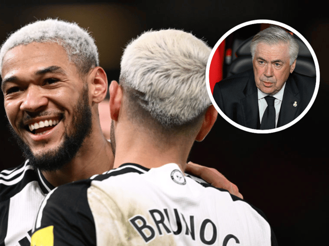 Joelinton and Bruno Guimaraes could be managed by Carlo Ancelotti on the international stage