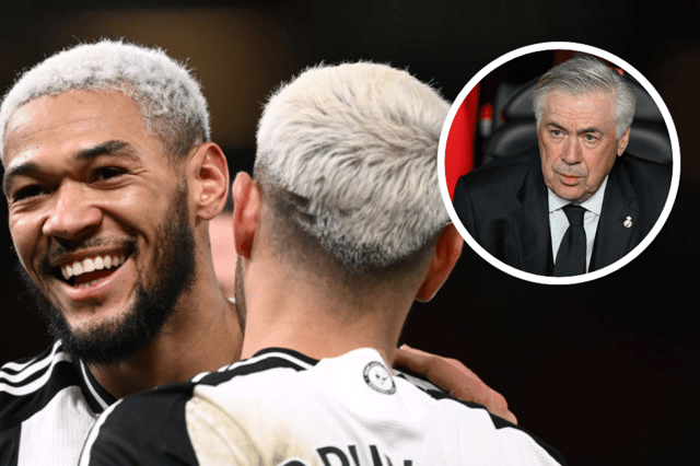 Joelinton and Bruno Guimaraes could be managed by Carlo Ancelotti on the international stage