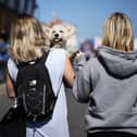 Walking our dogs in warm weather can be extremely dangerous.