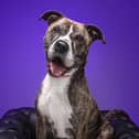 Tess travelled 100 miles to Lancashire in search of a new home