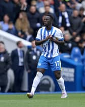 Yankuba Minteh of Brighton & Hove Albion celebrates scoring his team's first goal by patting his Brighton & Hove Albion badge during the Premier League match between Brighton & Hove Albion FC and Newcastle United FC at Amex Stadium on May 04, 2025 in Brighton, England. (Photo by Charlie Crowhurst/Getty Images)