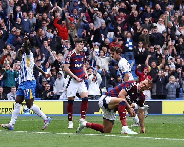 Yankuba Minteh of Brighton and Hove Albion celebrates after scores the team first goal of the game during the Premier League match between Brighton & Hove Albion FC and Newcastle United FC at Amex Stadium on May 04, 2025 in Brighton, England. (Photo by Charlie Crowhurst/Getty Images)