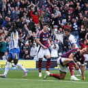 Yankuba Minteh of Brighton and Hove Albion celebrates after scores the team first goal of the game during the Premier League match between Brighton & Hove Albion FC and Newcastle United FC at Amex Stadium on May 04, 2025 in Brighton, England. (Photo by Charlie Crowhurst/Getty Images)