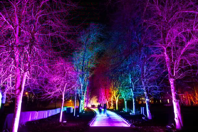The popular light trail is set to be completely reimagined for 2025.