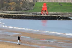 Emma Lewell, MP for South Shields, has raised concerns over the water quality at Littlehaven Beach in the House of Commons.