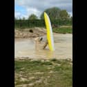 Polar bears go wild and take to the water...in a kayak