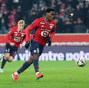 Jonathan David has been in excellent form for Lille.