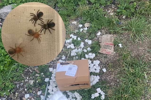 The box of baby tarantulas were inside a parcel which was found ripped open outside the couple's home in Chester-le-Street on Tuesday (May 13)