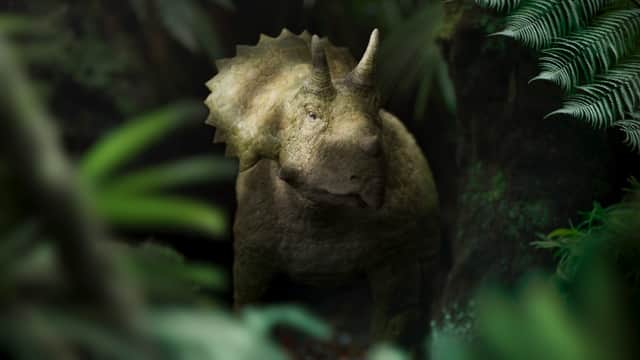 Clover, a triceratops, in Walking with Dinosaurs