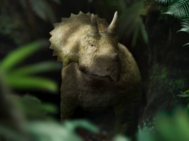 Clover, a triceratops, in Walking with Dinosaurs