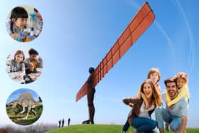 From science experiments to walking Dinosaur trails - here's 27 last-minute ideas in the North East for the May half term holidays.