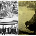 Stories which made the Shields Gazette headlines in 1974 - from mad dogs to a football-loving vicar.