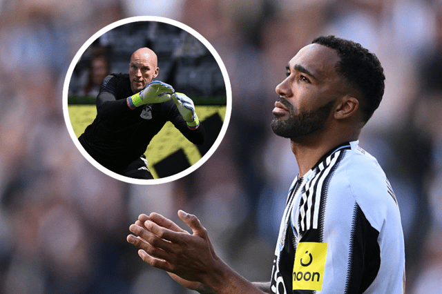 Callum Wilson and John Ruddy are among the players set to leave Newcastle United at the end of the month.