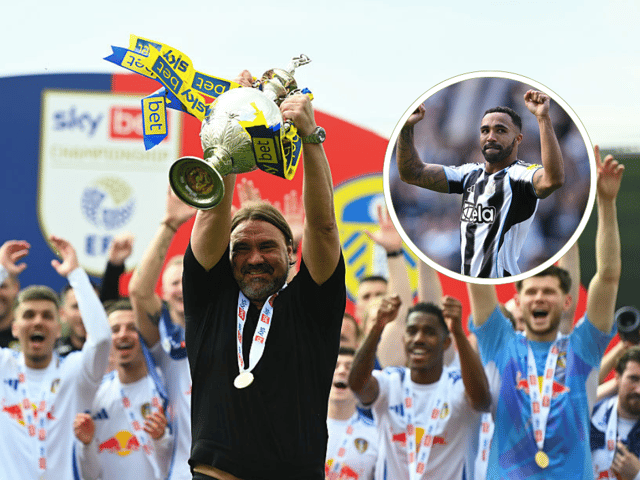 Daniel Farke's Leeds United have been linked with a move for Callum Wilson - but Ally McCoist has a warning.
