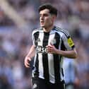 Tino Livramento in action for Newcastle United. 