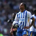 Brighton striker Joao Pedro has been linked with a move to Newcastle this summer.