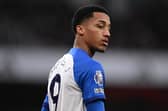 Brighton forward Joao Pedro is wanted by Newcastle United