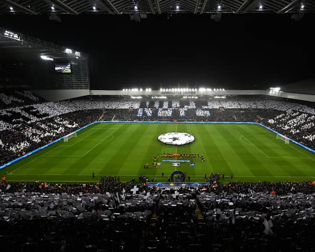 Newcastle United will be back in the Champions League. 