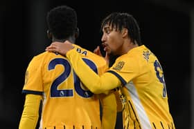 Joao Pedro of Brighton & Hove Albion offers some encouragement to team mate Carlos Baleba during the Premier League match between Fulham FC and Brighton & Hove Albion FC at Craven Cottage on December 05, 2024 in London, England. (Photo by Mike Hewitt/Getty Images)