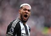Joelinton at Newcastle United. 