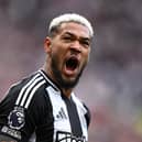 Joelinton at Newcastle United. 