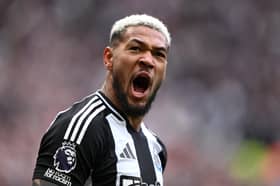 Joelinton is back in action for Newcastle United.