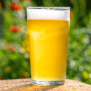 There’s nothing better than a cold, flavour-packed beer enjoyed in the sunshine – especially when the fridge is stocked with something special.
