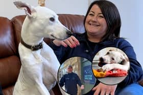 Newcastle Dog & Cat Shelter in Longbenton