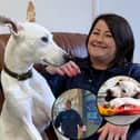Newcastle Dog & Cat Shelter in Longbenton