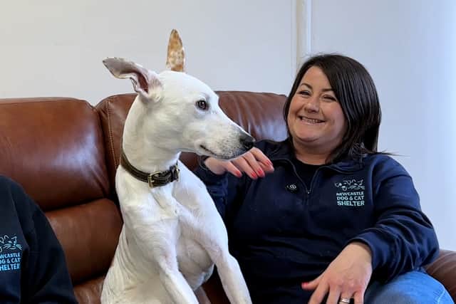 From left, Katie Fulcher-Watkins, Rehoming Assistant, and Jill Neary, Senior Rehoming Manager, with Rocko