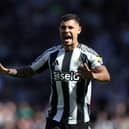 Newcastle United captain Bruno Guimaraes.
