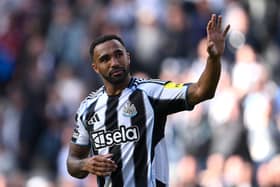 Callum Wilson has scored 49 goals in 130 appearances for Newcastle United. 