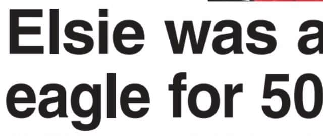 A Shields Gazette headline which paid tribute to Elsie and her devotion to the Royal Family.