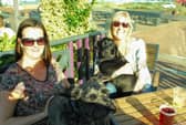 Relaxing in the sun with friends and some friendly canine company.