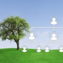 Your family tree could be bigger than you ever imagined — and DNA testing can help you trace its many branches.