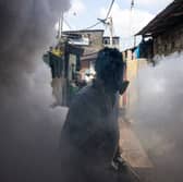 The risk of the chikungunya virus spreading to the EU has been classed as ‘high’ by the ECDC. 