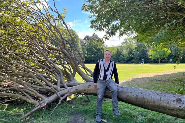 Local councillor Tom Woodwark with a fallen tree in Gosforth Central Park