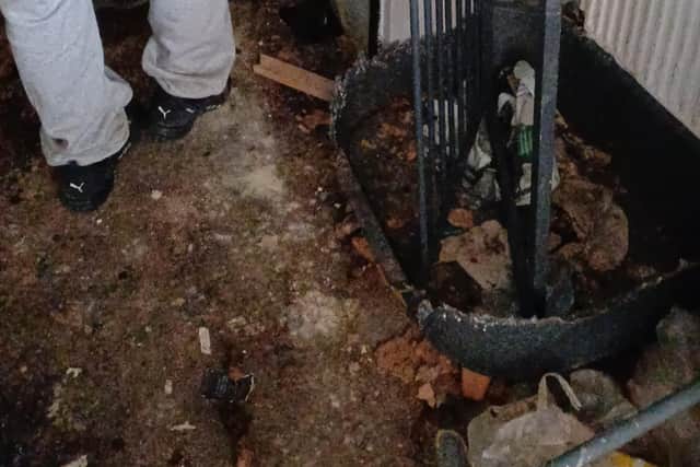 South Tyneside man hit with animal ban after leaving his dog without ...