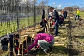South Tyneside and Sunderland NHS Foundation Trust has secured a green award for the planting of around 2,000 at South Tyneside District Hospital.