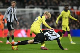 Lucas Bergvall in action for Spurs against Newcastle United.